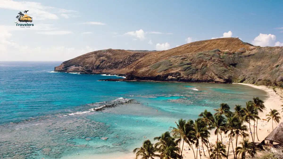 Sea shells as souvenirs of a Hawaii vacation